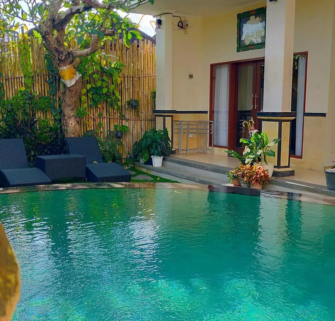 Villa Danu House Ubud